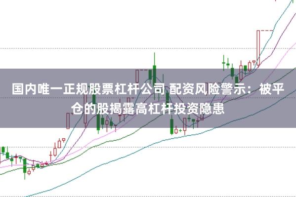 国内唯一正规股票杠杆公司 配资风险警示：被平仓的股揭露高杠杆投资隐患