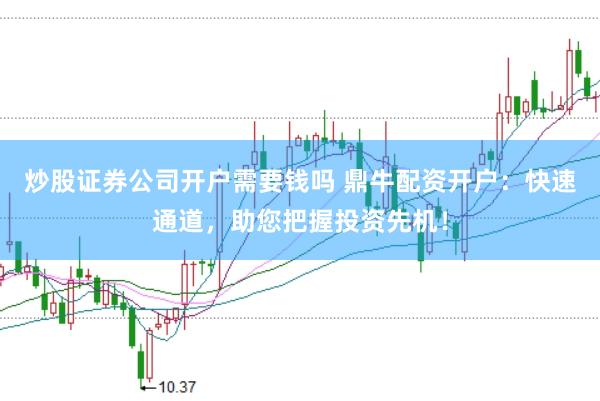 炒股证券公司开户需要钱吗 鼎牛配资开户：快速通道，助您把握投资先机！