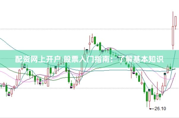 配资网上开户 股票入门指南：了解基本知识