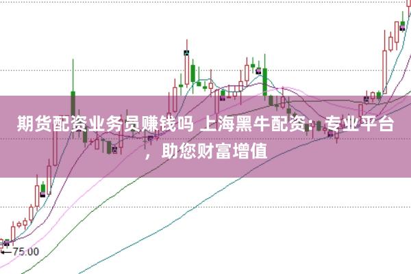 期货配资业务员赚钱吗 上海黑牛配资：专业平台，助您财富增值