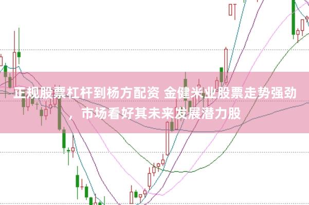 正规股票杠杆到杨方配资 金健米业股票走势强劲，市场看好其未来发展潜力股