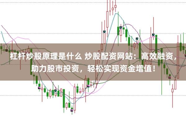 杠杆炒股原理是什么 炒股配资网站：高效融资，助力股市投资，轻松实现资金增值！