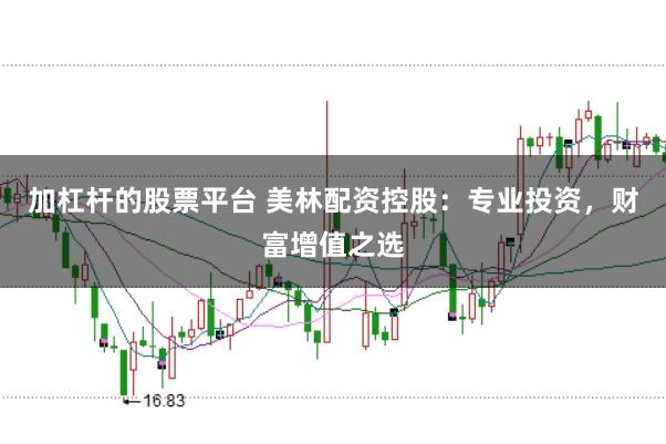 加杠杆的股票平台 美林配资控股：专业投资，财富增值之选