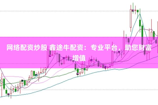 网络配资炒股 鑫途牛配资：专业平台，助您财富增值