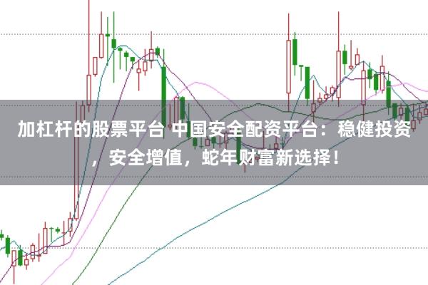 加杠杆的股票平台 中国安全配资平台：稳健投资，安全增值，蛇年财富新选择！