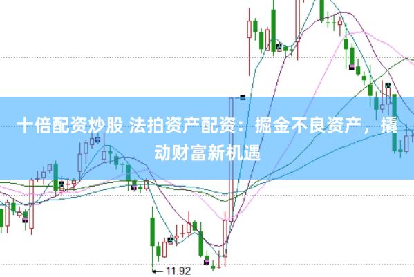 十倍配资炒股 法拍资产配资：掘金不良资产，撬动财富新机遇