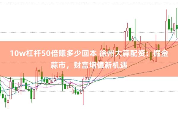 10w杠杆50倍赚多少回本 徐州大蒜配资：掘金蒜市，财富增值新机遇