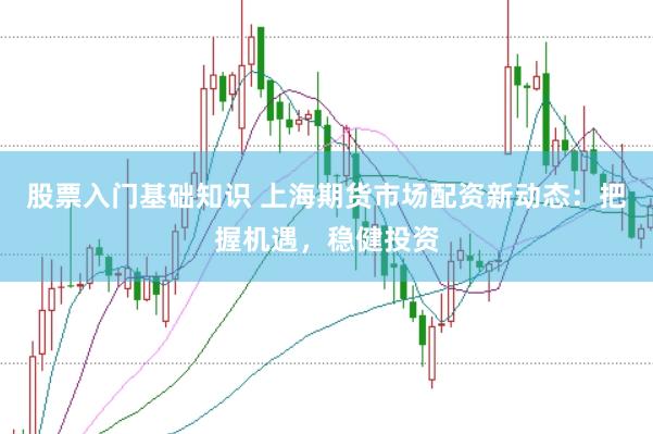 股票入门基础知识 上海期货市场配资新动态：把握机遇，稳健投资