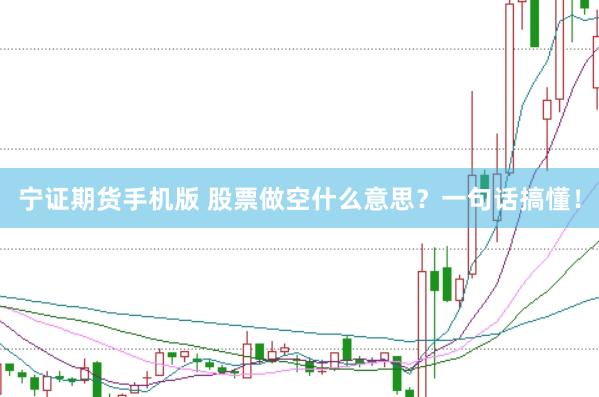 宁证期货手机版 股票做空什么意思?一句话搞懂!