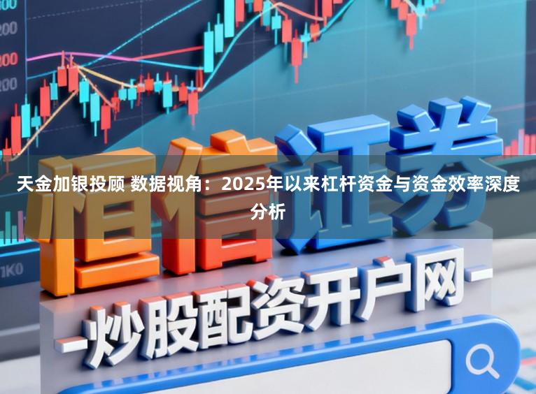 天金加银投顾 数据视角：2025年以来杠杆资金与资金效率深度分析